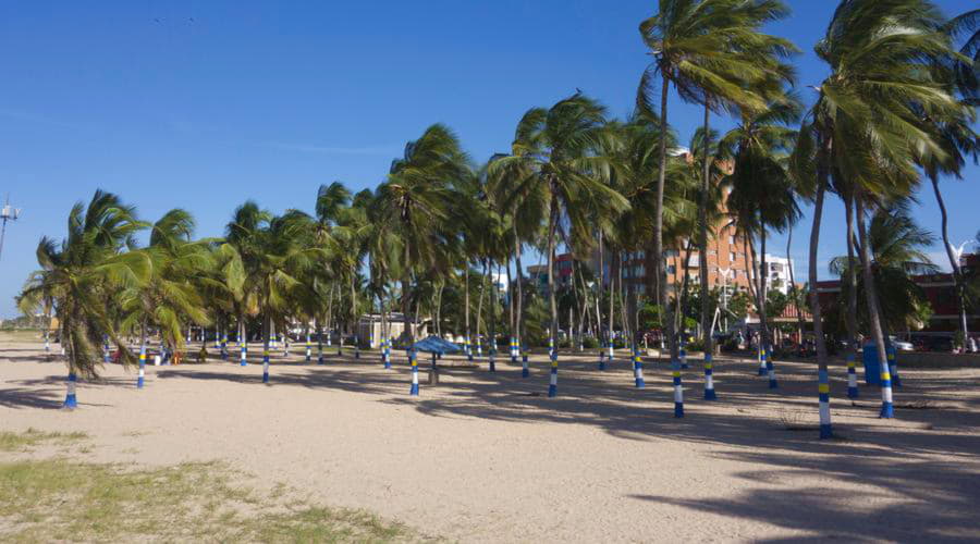 Riohacha bölgesindeki en iyi araç kiralama seçenekleri